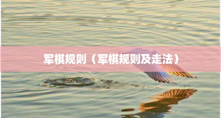 军棋规则（军棋规则及走法）
