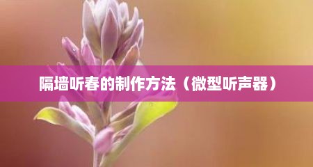 隔墙听春的制作方法（微型听声器）