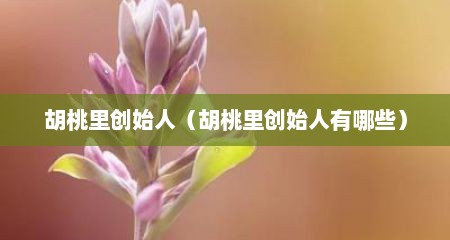胡桃里创始人（胡桃里创始人有哪些）
