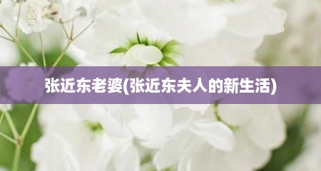 张近东老婆(张近东夫人的新生活)