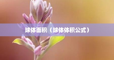 球体面积（球体体积公式）