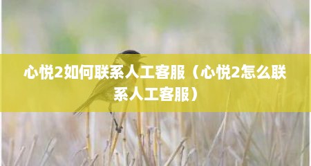 心悦2如何联系人工客服（心悦2怎么联系人工客服）