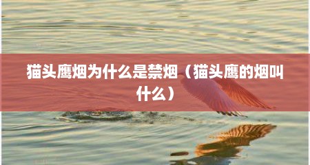 猫头鹰烟为什么是禁烟（猫头鹰的烟叫什么）