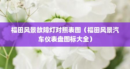 福田风景故障灯对照表图（福田风景汽车仪表盘图标大全）