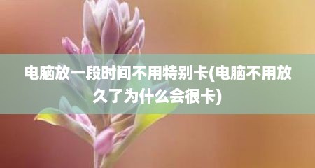 电脑放一段时间不用特别卡(电脑不用放久了为什么会很卡)