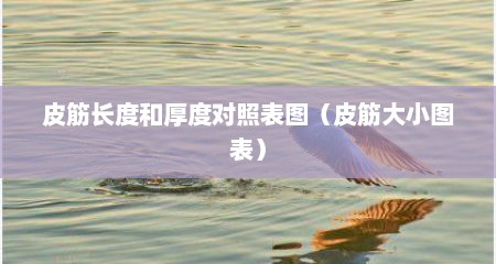 皮筋长度和厚度对照表图（皮筋大小图表）