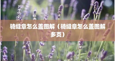 骑缝章怎么盖图解（骑缝章怎么盖图解多页）