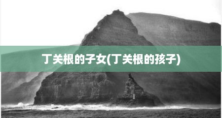 丁关根的子女(丁关根的孩子)