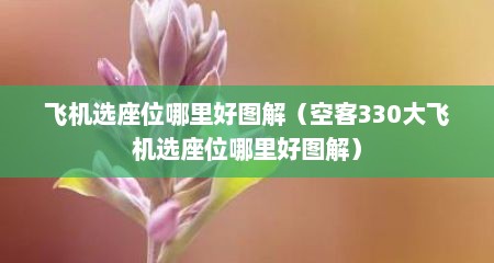 飞机选座位哪里好图解（空客330大飞机选座位哪里好图解）