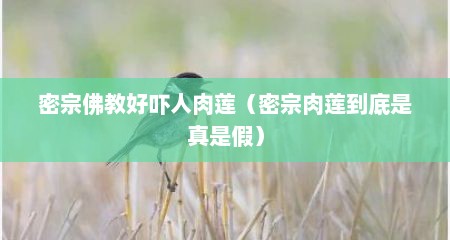 密宗佛教好吓人肉莲（密宗肉莲到底是真是假）