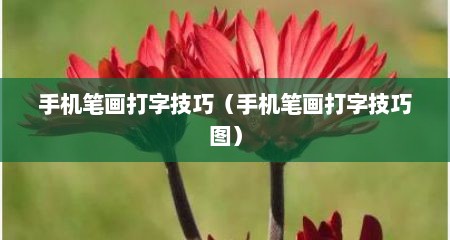手机笔画打字技巧（手机笔画打字技巧图）