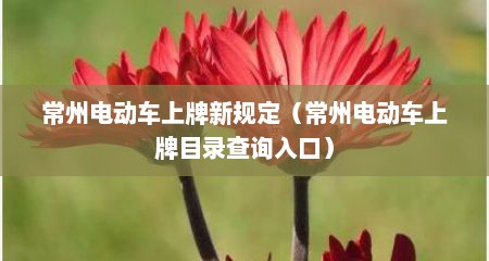 常州电动车上牌新规定（常州电动车上牌目录查询入口）