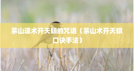 茅山道术开天眼的咒语（茅山术开天眼口诀手法）
