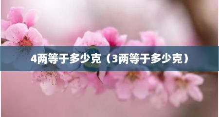 4两等于多少克（3两等于多少克）