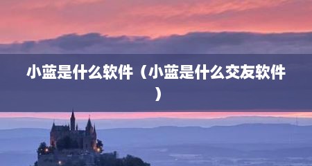 小蓝是什么软件（小蓝是什么交友软件）