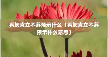 香灰直立不落预示什么（香灰直立不落预示什么意思）