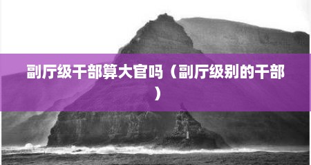 副厅级干部算大官吗（副厅级别的干部）