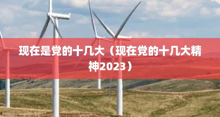现在是党的十几大（现在党的十几大精神2023）