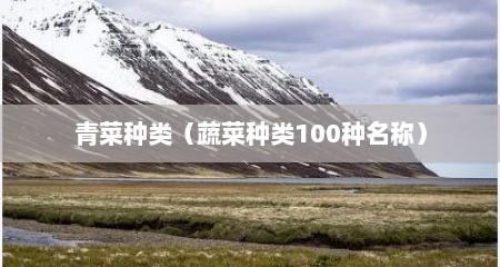 青菜种类（蔬菜种类100种名称）