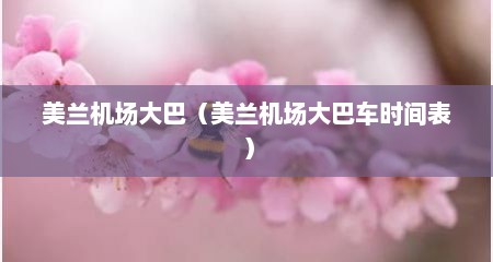 美兰机场大巴（美兰机场大巴车时间表）