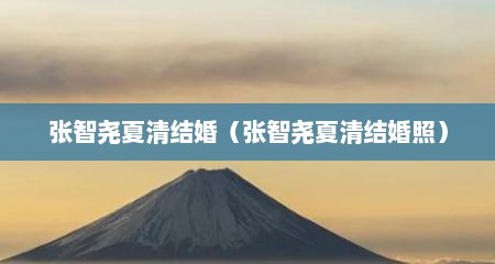 张智尧夏清结婚（张智尧夏清结婚照）