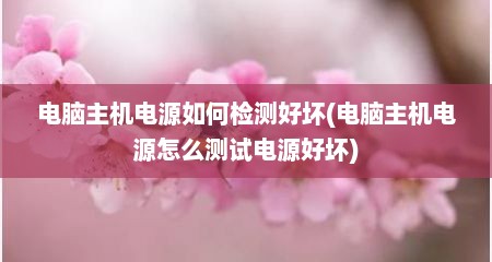 电脑主机电源如何检测好坏(电脑主机电源怎么测试电源好坏)