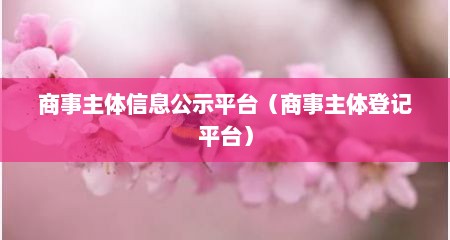 商事主体信息公示平台（商事主体登记平台）