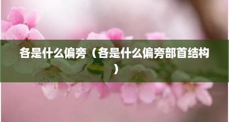 各是什么偏旁（各是什么偏旁部首结构）