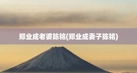 郑业成老婆陈铭(郑业成妻子陈铭)