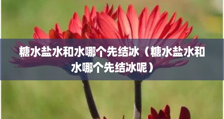 糖水盐水和水哪个先结冰（糖水盐水和水哪个先结冰呢）
