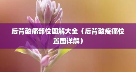 后背酸痛部位图解大全（后背酸疼痛位置图详解）