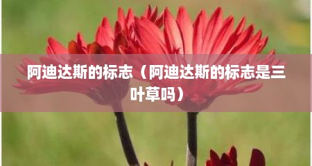阿迪达斯的标志（阿迪达斯的标志是三叶草吗）