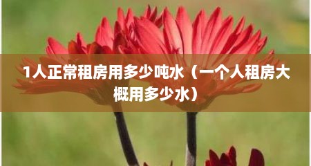 1人正常租房用多少吨水（一个人租房大概用多少水）