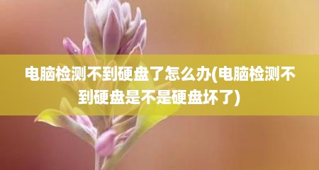电脑检测不到硬盘了怎么办(电脑检测不到硬盘是不是硬盘坏了)