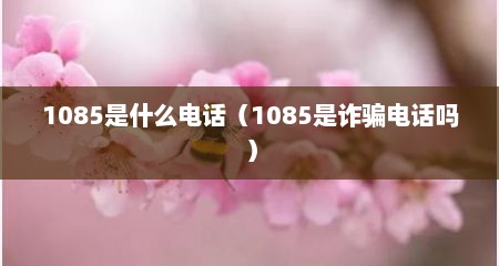 1085是什么电话（1085是诈骗电话吗）