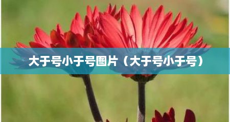 大于号小于号图片（大于号小于号）