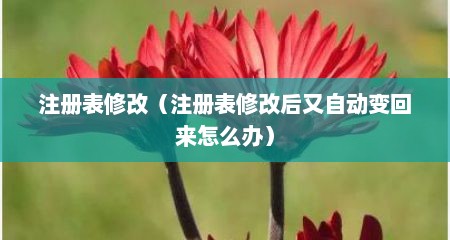 注册表修改（注册表修改后又自动变回来怎么办）