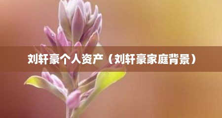 刘轩豪个人资产（刘轩豪家庭背景）
