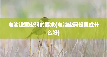 电脑设置密码的要求(电脑密码设置成什么好)