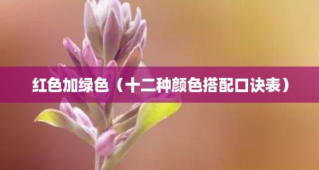 红色加绿色（十二种颜色搭配口诀表）