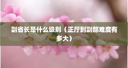 副省长是什么级别（正厅到副部难度有多大）
