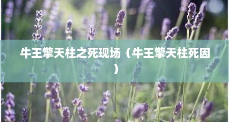牛王擎天柱之死现场（牛王擎天柱死因）