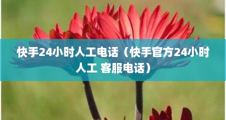 快手24小时人工电话（快手官方24小时人工 客服电话）