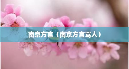 南京方言（南京方言骂人）