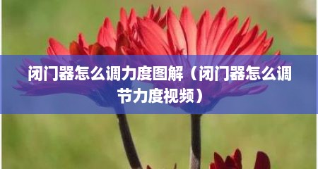 闭门器怎么调力度图解（闭门器怎么调节力度视频）