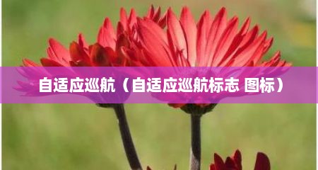 自适应巡航（自适应巡航标志 图标）