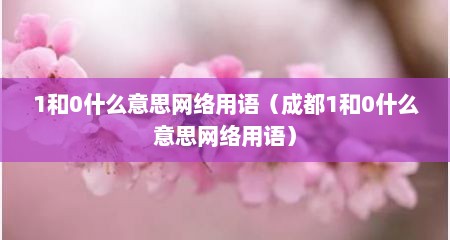 1和0什么意思网络用语（成都1和0什么意思网络用语）