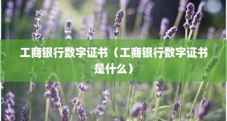工商银行数字证书（工商银行数字证书是什么）