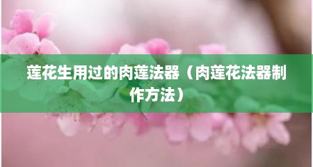 莲花生用过的肉莲法器（肉莲花法器制作方法）