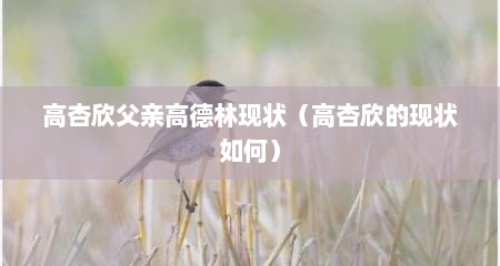 高杏欣父亲高德林现状（高杏欣的现状如何）